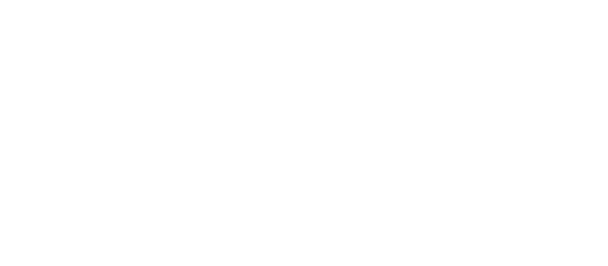 Bear Point Logo White-01